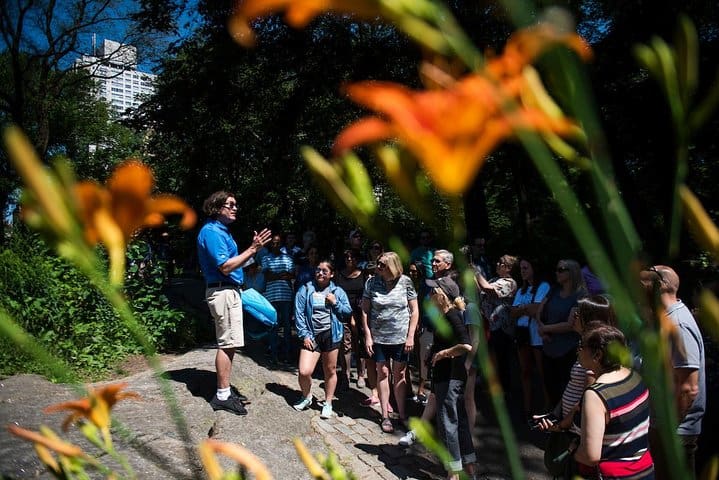 A Tour Guide’s New York City