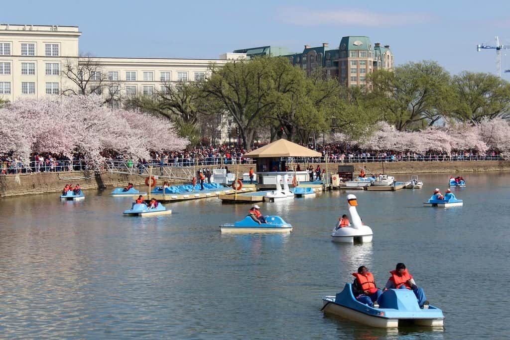 The paddleboats are popular in the warm months