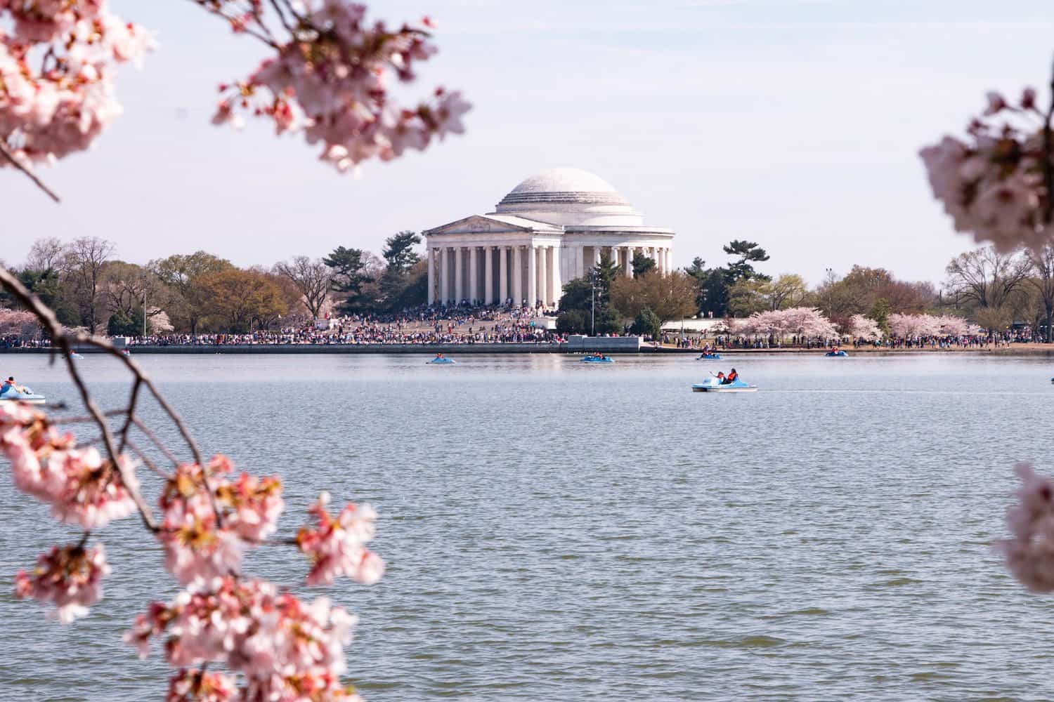 Cherry Blossoms Galore Tour, Jefferson Memorial