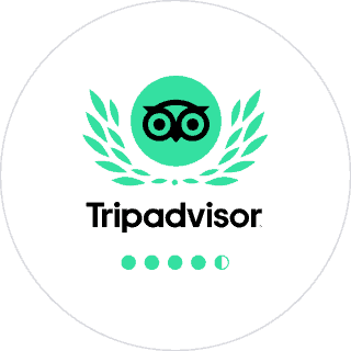 Tripadvisor Reviews