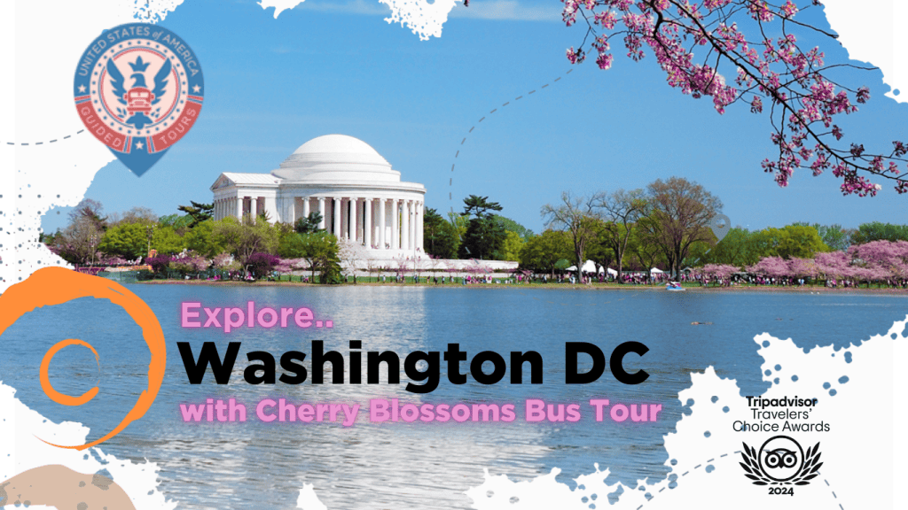 Cherry Blossoms Galore Tour