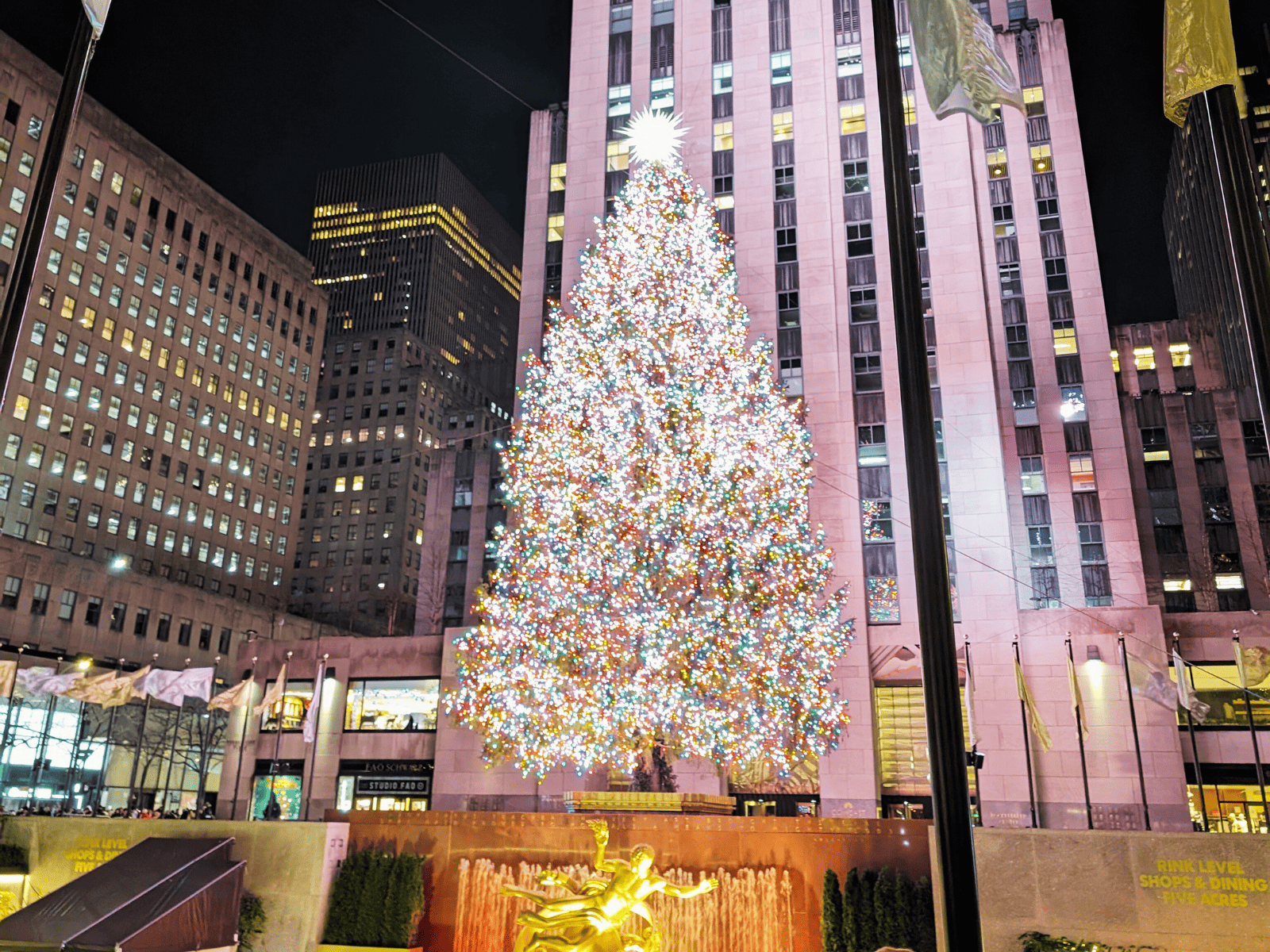 NYC Holiday Lights Tour