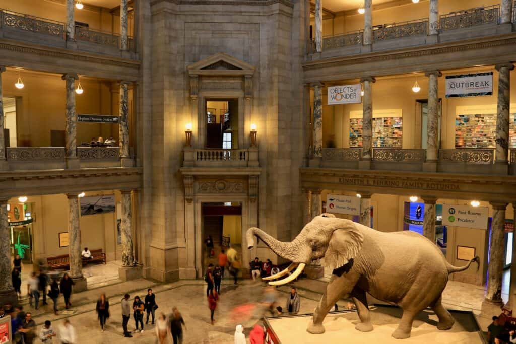  The National Museum of Natural History