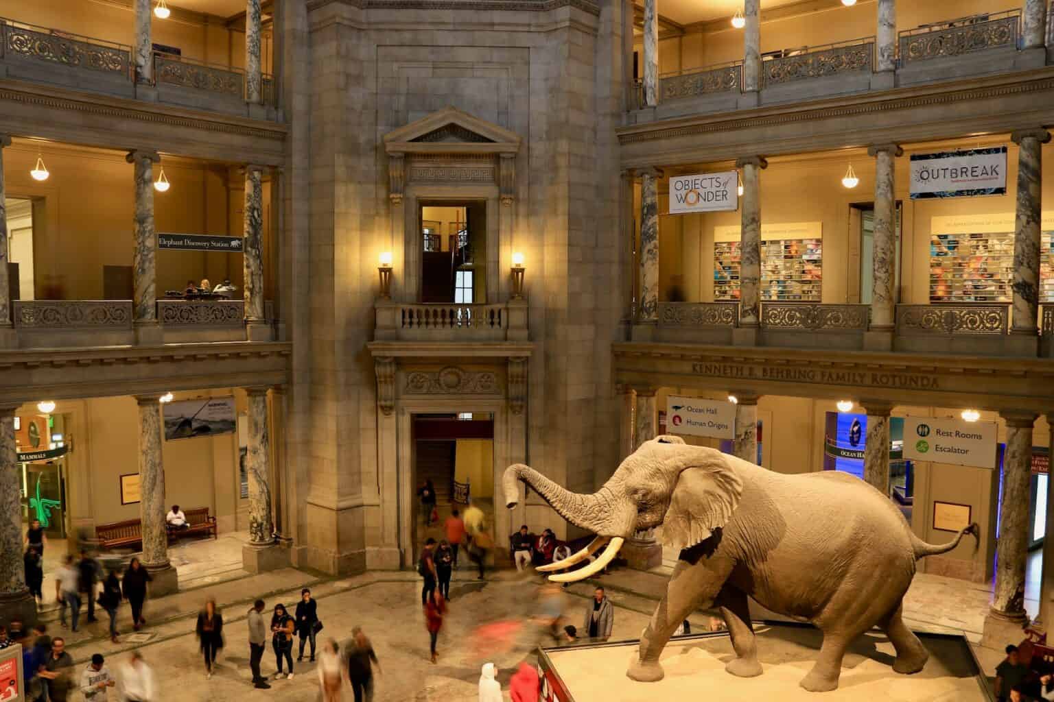 The 15 Best Museums in DC to Visit: The USA Guided Tours List