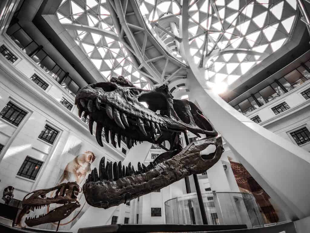 National Museum of Natural History contains thousands of years of animal exhibits and education