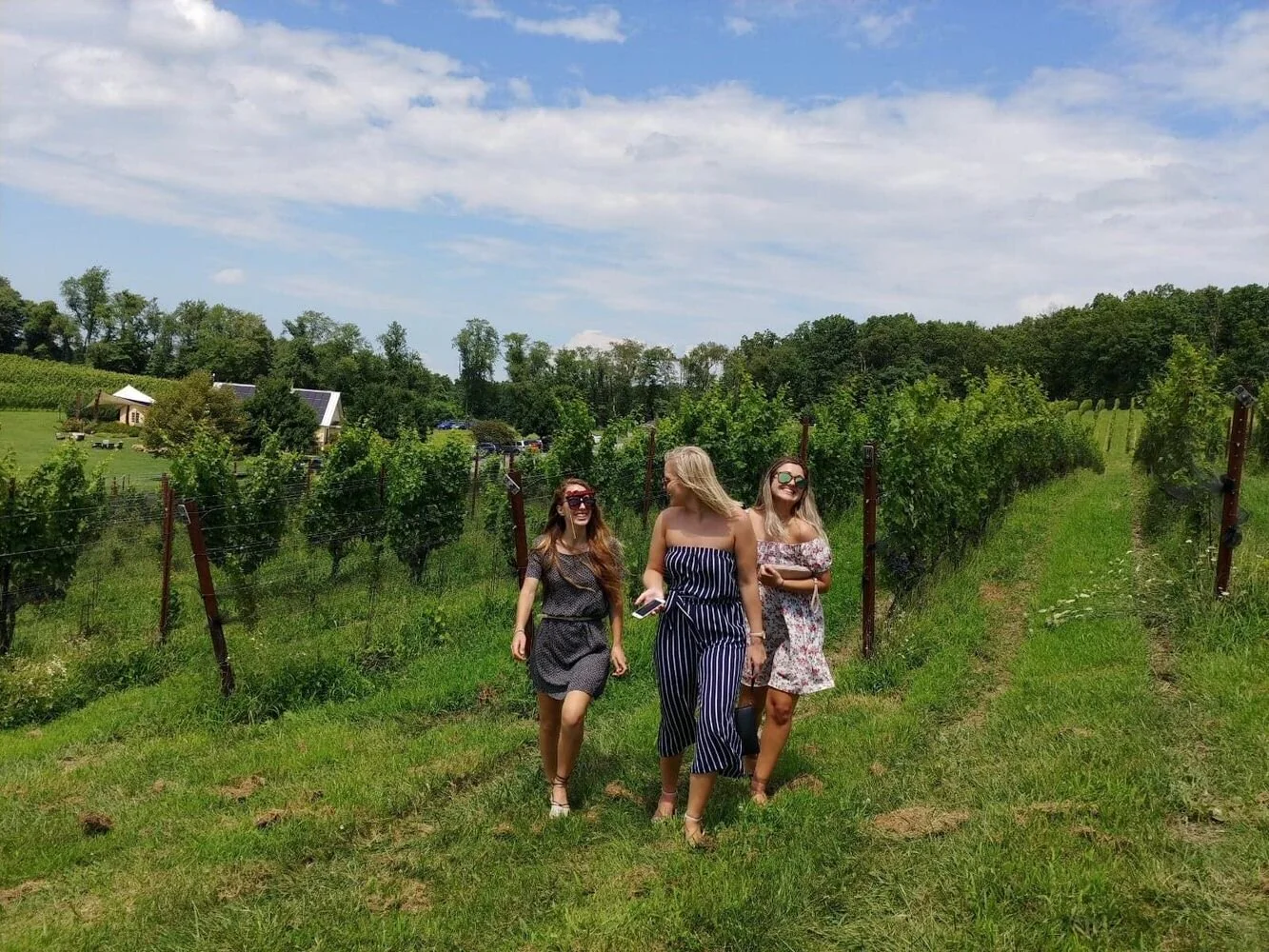 Maryland Wine Tours from National Harbor
